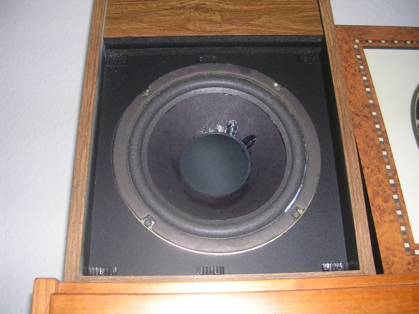 Bose 301 with new foam